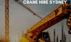7 IDEAL REASONS TO GO FOR SMALL CRANE HIRE SYDNEY
