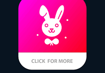 Rabbit app customer care number
