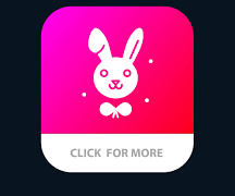 Rabbit app customer care number