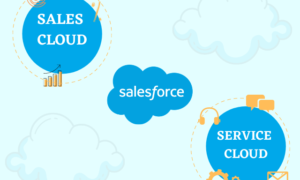 How is the Salesforce Sales Cloud is Different from Service Cloud?